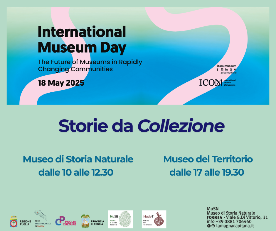International Museum Day 2025