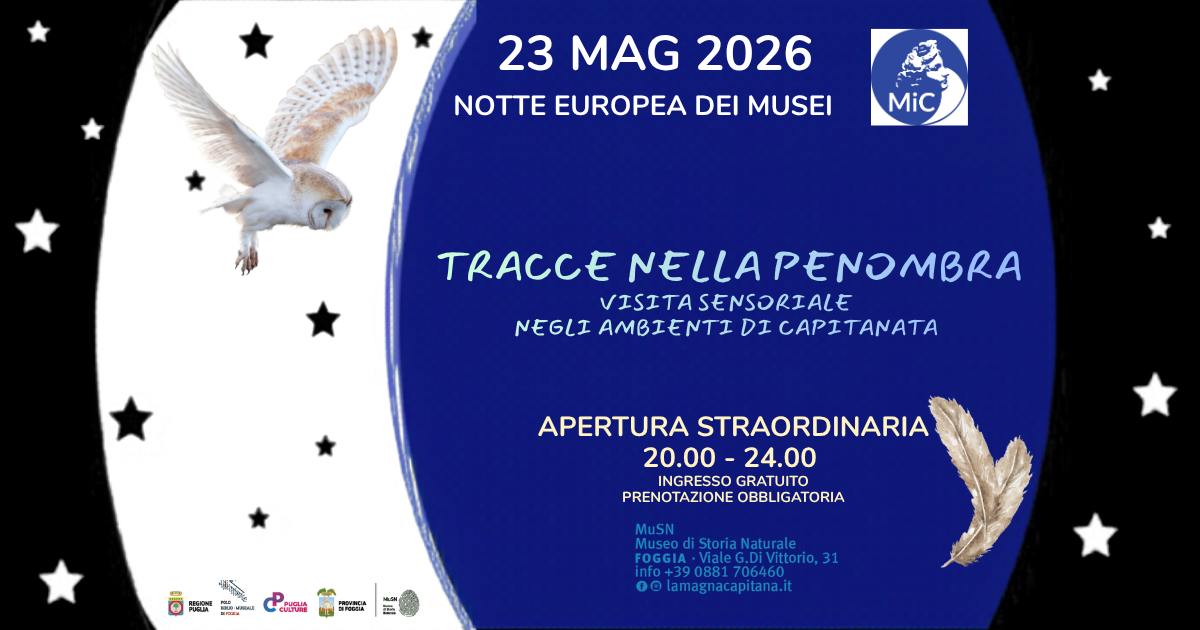 Apertura straordinaria: il Museo di Storia Naturale di Foggia celebra la Notte Europea dei Musei